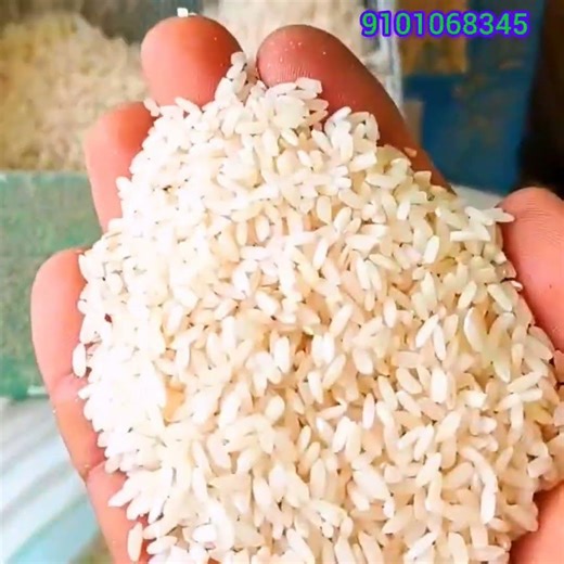 one star rice mill dijel engine hp 20 live demo video #ricemill #shortvideo #success #shorts #reels