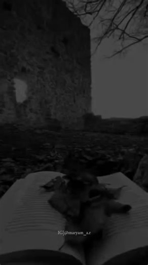 Maryam_A.R on Instagram: "珞✨ . . . . Novel:Raah e Noor by @sumairahameedofficial Voiceover:@pak.novels Along with text available on Pak Novels YouTube channel . . . . #islam #freeplastine❤️ #urdunovels #novelreaders #novelist #novellovers❤️ #novelsworld #bookstagram #audiobook #instagram"