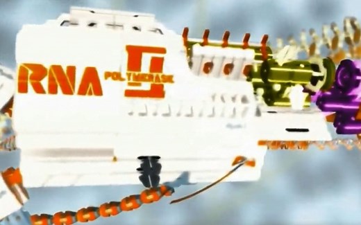 【中心法则】DNA转录与RNA翻译