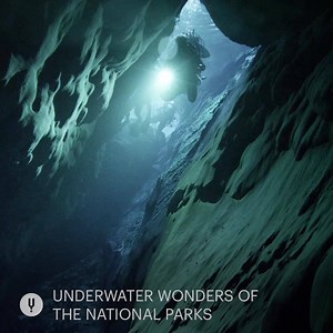 1.4K reactions · 196 shares | From the founder of the Discovery Channel, CuriosityStream is the world's first streaming service dedicated to streaming factual documentaries about science, tech, nature and more!  Start your free trial today.  | Curiosity Stream | Facebook