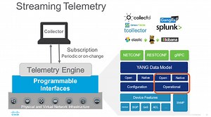Catalyst Switching Programmability: The Workshop