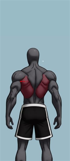 Want a V-Shape? Train These Two Muscles.