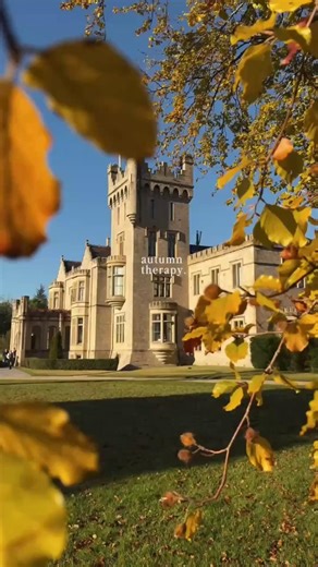 Find cosy corners, golden leaves, warming whiskey tastings, hearty male and five-star comfort at Lough Eske Castle. Autumn has arrived in Donegal, and it has never felt more inviting 🍂 Did you know you can enjoy a third night with our compliments this November? Stay 3 nights for the price of 2 at Lough Eske Castle including full Irish breakfast, complimentary access to our pool, gym, guest bicycles and history tour everyday at 11am. Plan your next retreat through the link below https://ow.ly/Aj