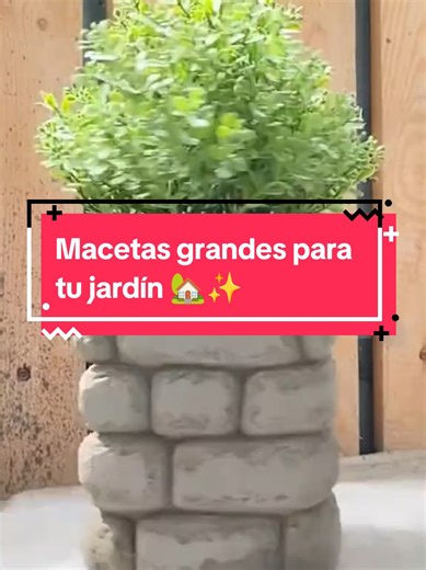 Macetas grandes y con diseño sobrio para el jardin #materas #maceteras #macetas #macetasdecemento #macetasdeconcreto #macetasdeyeso #minimacetasdeconcreto #miniportavelasdeconcreto #miniportavelasdeyeso #mujerartesanal #arteencemento #arteenyeso #artesaniasencemento #arteenconcreto #cuencosencemento #recipientesenyeso #recipientesencemento #cursosonlineconcertificado #cursoonline #cursos #decohogar #decojardin #decoraciondelhogar