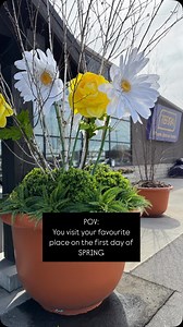 1.3K views · 21 reactions | Have you heard? It’s SPRING, you guys. ☀️ We made it! It’s the season of soft ground, warm days, the buzzing of bees and growth awakening. Here’s what the first day of Spring feels like around here… it feels REALLY good. #terragreenhouses #wherecolourlives #happyspring #firstdayofspring | Terra - Where Colour Lives | Facebook