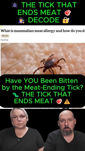 Have YOU Been Bitten by the Meat-Ending Tick? 🐛 THE TICK THAT ENDS MEAT 🥩⚠️ Is a tick bite forcing a global dietary shift? The line between biology and policy is blurring. When a tiny tick rewrites our relationship with meat, it’s not just a medical anomaly—it’s a potential cultural and political battleground. As the Lone Star tick spreads across the globe, our dinner plates are becoming the center of a debate that stretches far beyond the kitchen. In this deep-dive documentary, we investigate