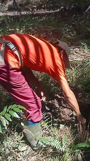 Lobang ular #snake | Bang Aristo