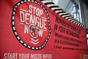 Dengue cases on the up in Singapore; patients say the illness can be dreadful