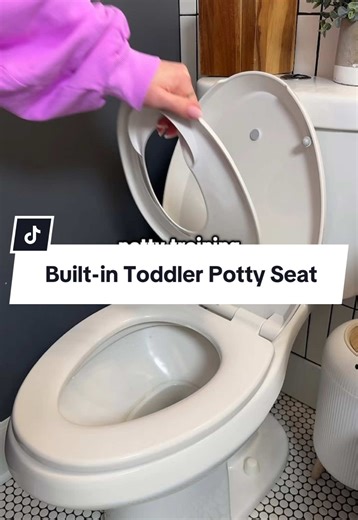 Reinvented Toddler Potty Seat: Space-Saving Solution