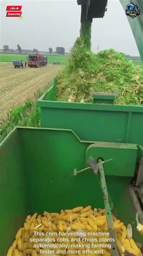 Corn Harvest Tool Machine Automatic Fast for Modern Farming#tool