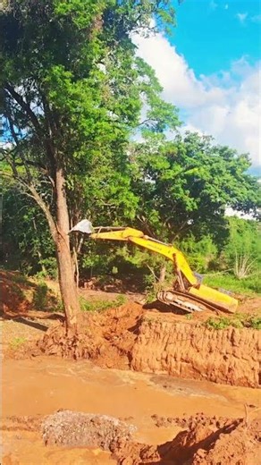 Heavy Machinery in Action: Excavator Felling a Tree