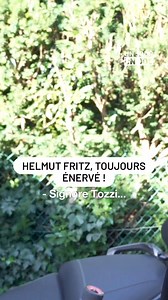 En plein Covid, Helmut Fritz avait de nouvelles raisons d'être énervé. Il décide alors de remixer sa chanson culte… « Ils ont été connus, que sont-ils devenus ? » 📺 #UnJourUnDoc, en streaming sur M6 | M6 Mag