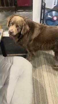 Zen: Master of both buttons