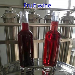 [Hot Item] Top Selling Fruit Rice Wine Liquid Filtration Machine Wine Filter System