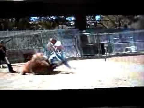 Stephan Miller Fatally Attacked By Grizzly Bear