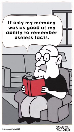 2.3K views · 21 reactions | Can’t find my keys, but I know every 90s jingle. | Grumpy Old Gits | Facebook