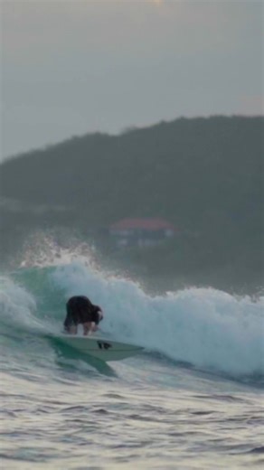 The countdown is on… 🌊✨🎬 Join us under the stars on the driving range at Camp Creek Golf Course for the 2025 One Ocean Film Tour — an unforgettable evening of stories that celebrate and protect our world’s oceans. From breathtaking visuals to powerful storytelling, this globally recognized film series highlights exploration, conservation, and the courage of those working to make a difference. 📅 Saturday, Nov. 22 🎟 Tickets available now — don’t wait! Learn more: https://loom.ly/fFclY1w one oc