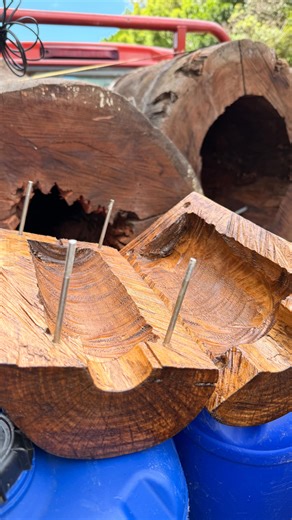 Andrew Powell MP on Instagram: "Ever wonder where fish go to have babies?👀🐟 The Mary River Cod and other endangered aquatic species in the Mary River catchment need some help finding a safe place to spawn.🐟 So, we’ve backed the Mary River Catchment Coordinating Committee with $2M in grants to install ‘cod logs’ in the river.🪵 But that’s not all, they’ll also be working on a number of projects to improve water quality, restore riparian zones, reduce pollution and control river predators.🌱"