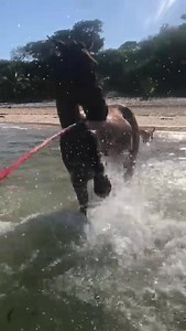 26 reactions | Fun on the beach | Mozambique Horse Safari | Facebook