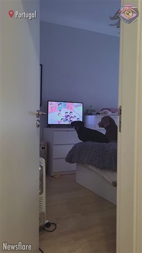 2.1M views · 84K reactions | Tonight, I'm crashing with one eye peeled 﫣 | Bright Side Fun | Facebook