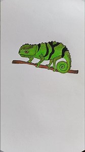 how to draw a beautiful chameleon 🦎 girgit drawing #shorts #drawing #girgit #Chameleon #viral_art
