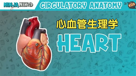 Ninja Nerd: 心血管生理学 Cardiovascular Physiology