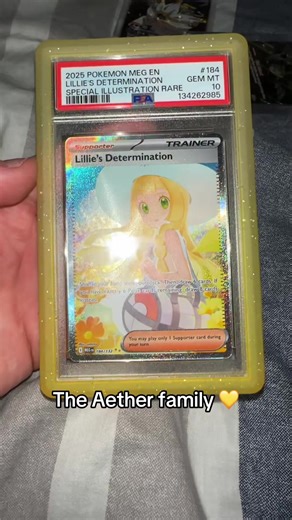 Collecting Aether Family Pokémon in Progress