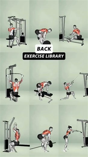 Ultimate Gym Back Workout for a Stronger Body - No Excuses #gym #yoga #buildmuscle#workout