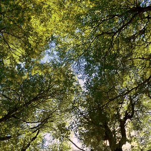 Don't forget to sign up for our 10 mile walk and Wellness Celebration along the beautiful Thames Path 🌳 Take steps towards a healthier you 🚶‍♀️🚶🏽 After the walk, stay and enjoy our Wellness Celebration - you can unwind with yoga, a therapeutic massage or a relaxing breathwork session 🧘 All of this and more will be waiting for you, free of charge, upon finishing! | Diabetes UK