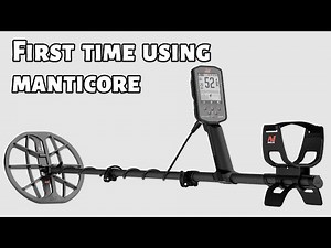 Manticore programs in detail: #3 How to quick start and go detecting