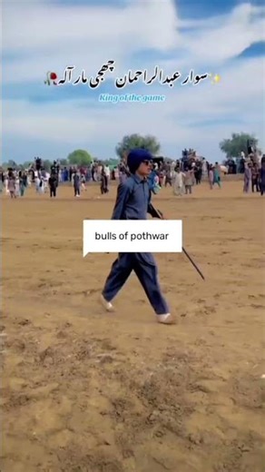 king of the game 💥🐂 #bullsofpothwar #new