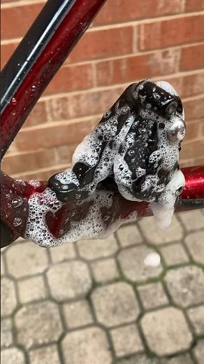 Quick and easy disc brake cleaning