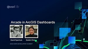 Arcade in ArcGIS Dashboards