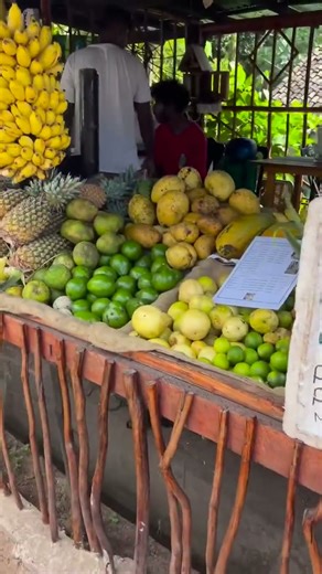 Sri Lanka Roadside Fruit Stall 🍍🥥 | Real Local Life #StreetFoodSriLanka #AuthenticTravel #Travel