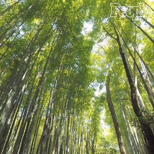 24K views · 591 reactions | Happy Earth Day! Get out there show your appreciation for this incredible planet that we call home.  | People | Facebook