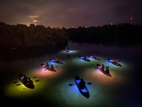 LED Night Kayak Tour in Key West out of Marriott Beachside Hotel offered by Night Kayak Key West