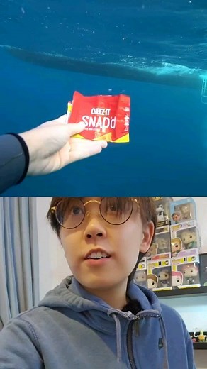 26K views · 174 reactions | I'd never be brave enough to go deep sea diving, so watching videos of the sea and trying to understand physical concepts related to it is all I can do 邏 Do you know how to dive? If so, is it really as exciting (and scary) as it looks?  credits @mermaid.kayleigh #physics #science #diving | vt.physics | Facebook