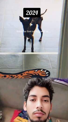 2.2M views · 171K reactions | Follow me please  Dog lover | akhil panting support | Facebook