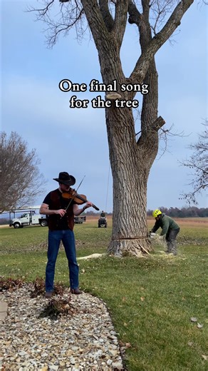We hired a cowboy to play one last song for the cottonwood. Removing trees is something we do with great care and respect. The world is better with more trees, but some must go for others to grow. Rest easy, Cottonwood. . . . #contractor #lumberjack #arborist #arblife #bluecollar