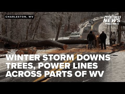 Downed trees, power lines from winter storm cause issues in WV