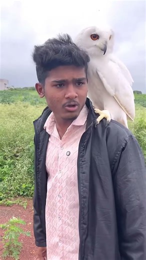 #comedy #mukalepparealteam