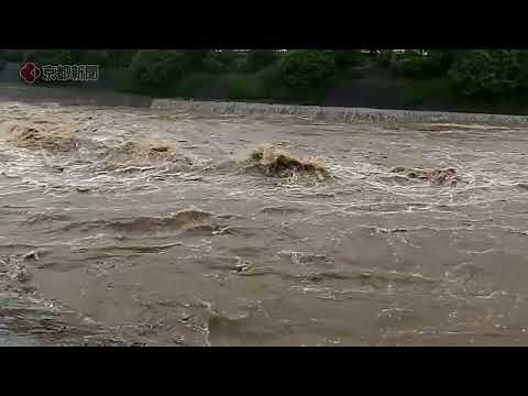 【大雨】大雨で増水した鴨川（2022年8月18日 京都市内） Kamo River swollen due to heavy rain
