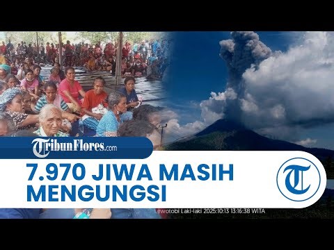 Gunung Lewotobi Kembali Meletus Tinggi Abu 3.000 Meter, 7.970 Jiwa Masih Mengungsi