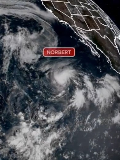 ‼️ PACIFIC POWER: The Pacific is alive with activity. 🌀 Tropical Storm Norbert is spinning. 🌊 An Invest is organizing. 👀 And another area is already being watched for development. Three tropical systems are keeping us at FOX Weather busy as the eastern Pacific remains one of the most active spots on the globe. Take a look at this mesmerizing real color satellite video highlighting just how busy the basin is. #FoxWeather #Weather #Hurricanes #Pacific #Video #Viral