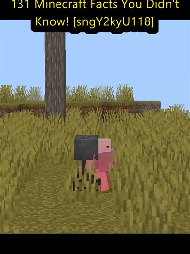 131 Unbelievable Minecraft Facts You Didn't Know