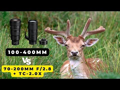 Nikon Z 100-400mm vs 70-200mm f/2.8 with a TELECONVERTER? THE FIELD TEST