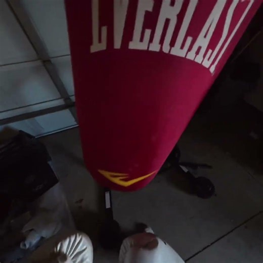 Day 11 of punching this bag everyday #challenge #boxing #onemorepunch