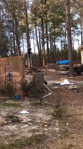 I feel like you're just here for the zipline 😅 #afv #fail #funnyvideos | TheAnimal laugh