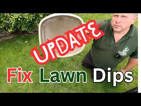 levelling a lawn and filling in dips update