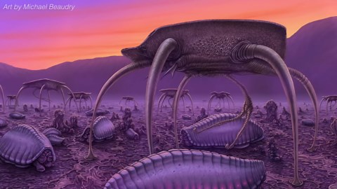 The alien life project built on real science